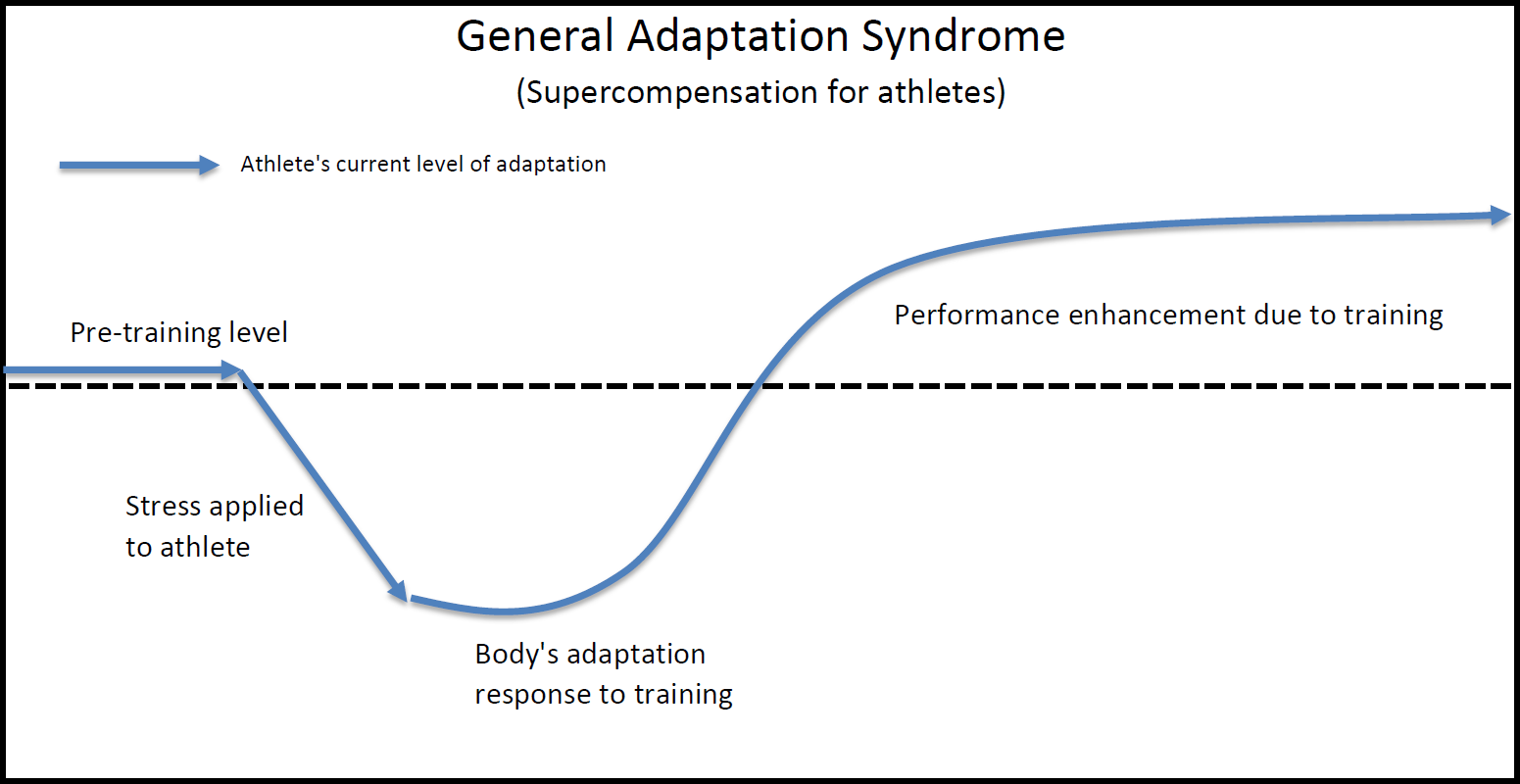 Adaptation_Response_with_Appropriate_Stress_in_Training_(Desired_Adaptation).png