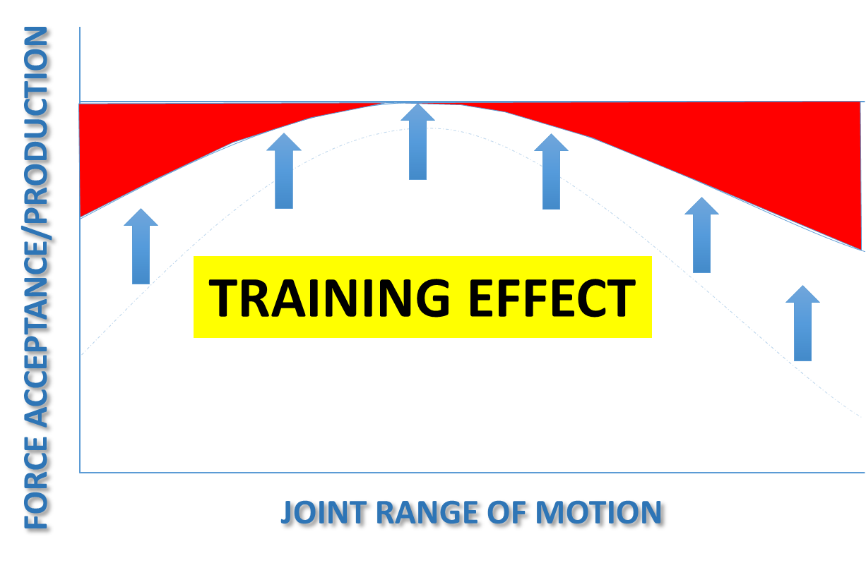 3-D_Post_Training_Levels.png
