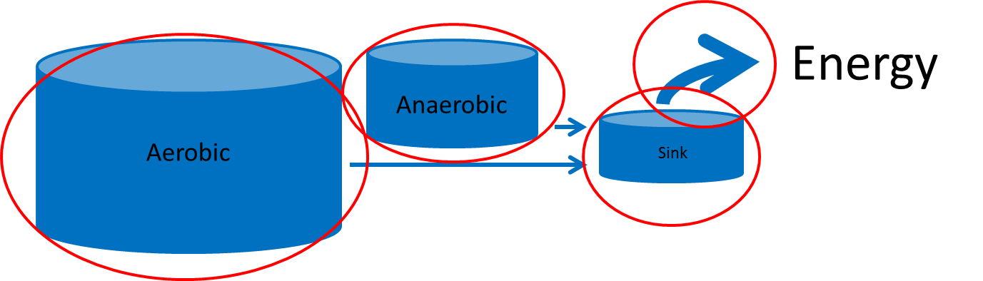 Lactate.png