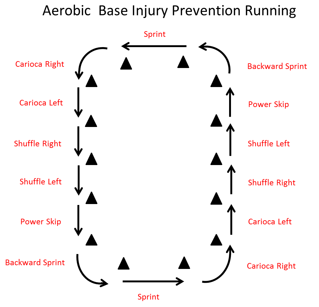 Metabolic_Injury_Circuit.png