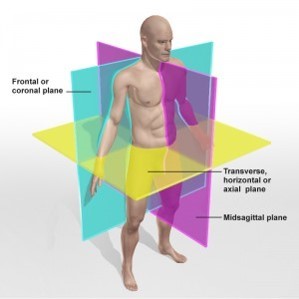 The 3 Anatomical Body Planes and The Movements In Each